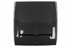 Ornament Capota compatibil cu Mercedes G-Class W463 Facelift 2018-2022 Dry Carbon